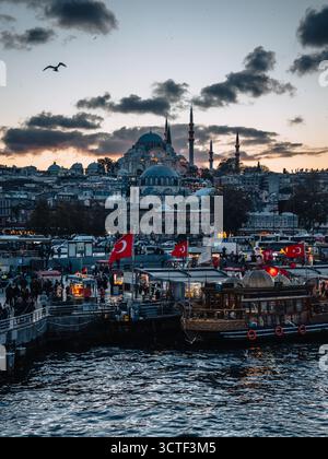 La vista del crepuscolo scende su un vivace lungomare, modellando la maestosa moschea di Süleymaniye contro un cielo morbido e le barche che rimbalzano dolcemente sulla fronte Foto Stock