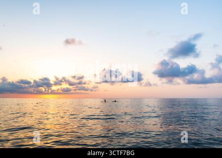 Silhouette che pagaiano su tavole SUP in mare all'alba. Stand up paddle boarding in una spettacolare vista del tramonto Foto Stock