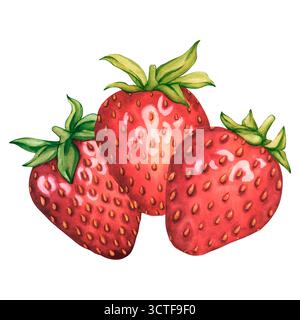 Acquerello di bacche intere tre fragole. Illustrazione delle fragole dipinte a mano per l'etichetta di tè, marmellata o cosmetici naturali. Acquerello Foto Stock