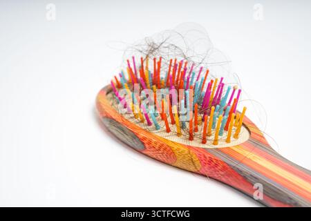 Spazzola colorata con fili di capelli morbidi aggrovigliati di setole su sfondo bianco isolato. Primo piano di una spazzola di legno riempita di distacco Foto Stock