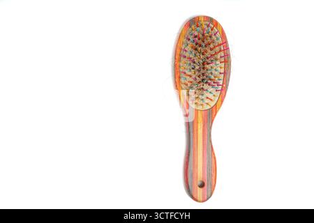 Spazzola colorata con fili di capelli morbidi aggrovigliati di setole su sfondo bianco isolato. Primo piano di una spazzola di legno riempita di distacco Foto Stock