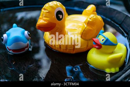 Primo piano di coloratissimi giocattoli di anatra in gomma e di una piccola figura di squalo che galleggia nell'acqua piovana all'interno di un barile di pioggia all'aperto. Foto Stock