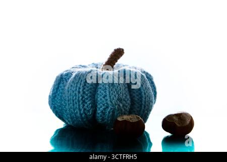 Zucca a maglia blu singola con castagne collocate su una superficie riflettente isolata su sfondo bianco che rappresenta il raccolto autunnale e il Hallowee fatto a mano Foto Stock