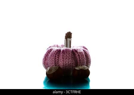Una zucca blu lavorata a mano su una superficie riflettente isolata su sfondo bianco per un raccolto autunnale e un arredamento di Halloween Foto Stock