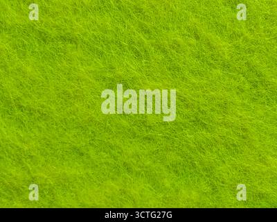 Primo piano dettagliato di texture in feltro verde non tessuto per lo sfondo e il design Foto Stock