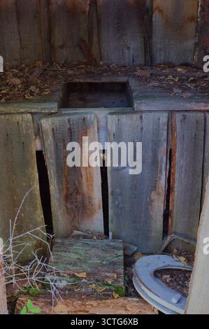 Seduta del WC Outhouse in legno fatiscente con buco nascosto in Old Shed crea decadimento, mistero e fascino rustico. Tavole, muschio e una Foto Stock