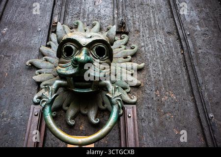 Primo piano di una porta con testa di leone in bronzo con patina invecchiata su una porta di legno intemprata Foto Stock