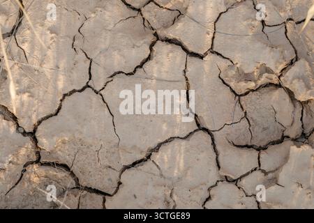 Superficie del suolo secco fessurato con fessure profonde, concetto di siccità, terreno arido, superficie terrestre disidratata, impatto sui cambiamenti climatici, scarsità d'acqua Foto Stock