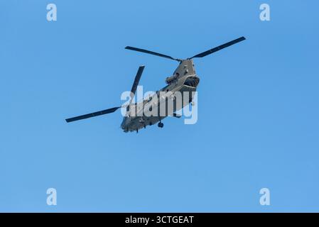 Gosport Hampshire Inghilterra Regno Unito.06.10.2025. Elicottero Chinook RAF utilizzato per trasportare truppe e rifornimenti che volano sopra Portsmouth Harbour UK Foto Stock