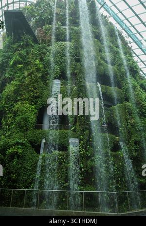 Splendida cascata d'acqua circondata da piante verdi nella Cloud Forest di Singapore. Foto Stock