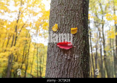 Personaggio divertente dalle foglie sul tronco di un albero in un parco autunnale. Natura Foto Stock