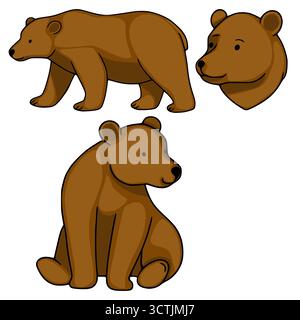Un affascinante set di illustrazioni vettoriali con un orso bruno in tre posizioni distinte: In piedi, seduto e un profilo della testa, con linee pulite e un Illustrazione Vettoriale
