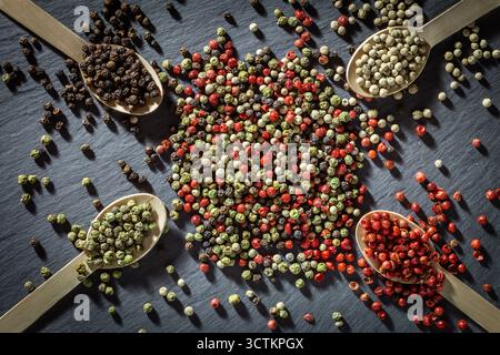 Un vivace mix di grani di pepe nero, bianco, verde e rosso disposti su ardesia con cucchiai di legno, un tributo artistico alla stagionatura globale. Foto Stock