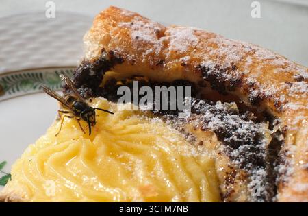 07.10.2025, Ausflug in Lindau,im Bild: Wespe auf Kuchen *** 07 10 2025, escursione in Lindau, nella foto vespa su torta Foto Stock