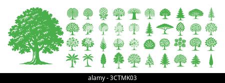 Set di cartoni animati piatti con alberi da frutto verdi. Un insieme di alberi diversi. Disegnato a mano. Non ai, illustrazione vettoriale. Illustrazione Vettoriale