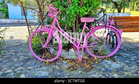 Una bicicletta retrò decorativa rosa attaccata ad un albero con una catena in un ambiente panoramico all'aperto Foto Stock