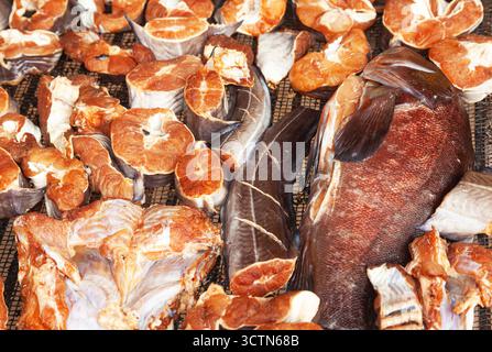 Pezzetti di pesce crudo freschi che si asciugano al sole su una griglia in acciaio inossidabile Foto Stock
