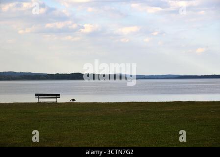 Un'unica panchina vuota si trova sulla riva di un lago tranquillo sotto un cielo nuvoloso, simbolo di solitudine e pace. Foto Stock