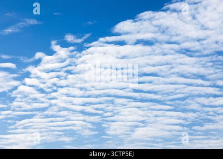 Un cielo blu luminoso pieno di nuvole sparsi e uniformemente distribuite che formano uno sfondo pacifico ed esteso. Texture foto di sfondo naturale astratta Foto Stock