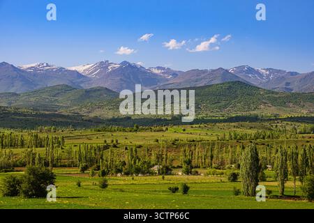 Valli verdi e vette innevate. Splendido paesaggio caratterizzato da lussureggianti valli verdi punteggiate di alberi. Maestose montagne innevate che incarnano il Be Foto Stock
