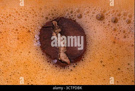 Foto macro di un singolo chicco di caffè tostato che riposa nella crema dorata di un espresso. Evidenziando bolle sottili, tonalità calde di marrone Foto Stock