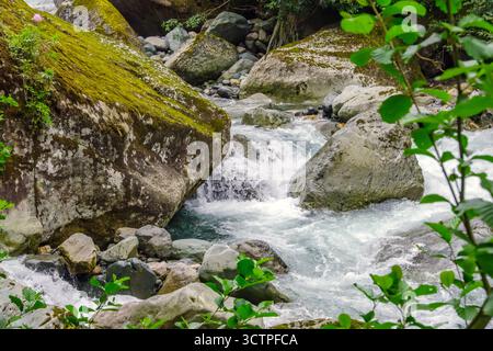 Ruscello di montagna che scorre attraverso massi muschiati e rocce. Creare cascate d'acqua. Circondato dal verde, il fiume che scorre velocemente mette in mostra il grezzo Foto Stock