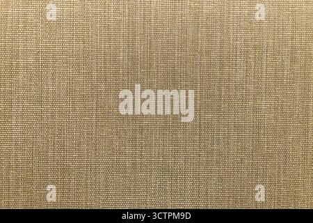Tessuto di lino tessuto, sfondo neutro in fibra naturale beige Foto Stock