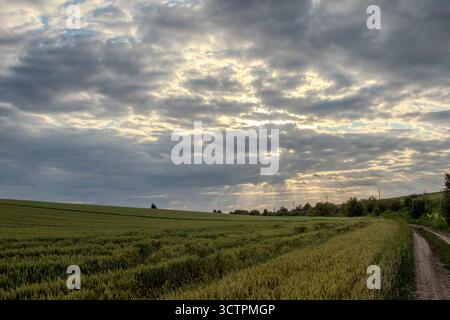 La luce del sole filtra attraverso le nuvole che illuminano un vasto campo verde lungo un tortuoso sentiero sterrato in un tranquillo ambiente rurale nel tardo pomeriggio. Foto Stock