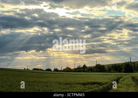 I raggi del sole illuminano i lussureggianti campi verdi mentre le nuvole attraversano il cielo nel tardo pomeriggio creando un'atmosfera rurale tranquilla. Foto Stock