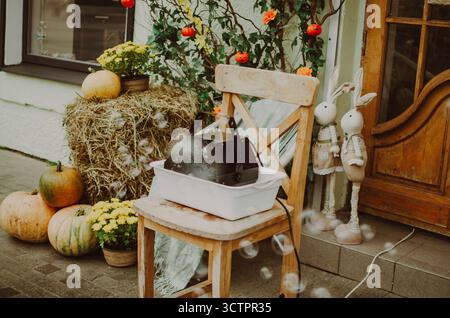 Installazione autunnale all'aperto con una macchina a bolle d'aria. Un'atmosfera festosa e romantica con foglie colorate e luce soffusa esalta l'atmosfera da sogno. Foto Stock