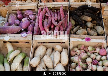 Al Dieppe Market si respira un colore bianco e nero viola Foto Stock