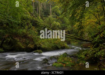Liebethaler Grund bei Lohmen Der Liebethaler Grund ist das enge und tief eingeschnittene tal der Wesenitz zwischen Lohmen und Hinterjessen im nordwestlichen Randbereich der Sächsischen Schweiz. Die Wesenitz durchbricht hier den Sandstein des Elbsandsteingebirges. Anfang und Endpunkt des Liebethaler Grundes werden in etwa durch die Lage der Daubemühle bei Lohmen und der Grundmühle Hinterjessen markiert. Namensgebend ist das nördlich des Grundes auf einer Hochfläche liegende Dorf Liebethal. Lohmen Sachsen Deutschland *** Liebethaler Grund vicino a Lohmen il Liebethaler Grund è lo stretto e profondo Foto Stock
