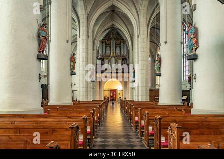 Innenraum und Orgel der katholischen Pfarrkirche St. Peter und Paul in Straelen, Nordrhein-Westfalen, Deutschland, Europa | St. Peter und Paul chu Foto Stock