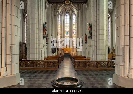 St. Peter und Paul Straelen Innenraum der katholischen Pfarrkirche St. Peter und Paul a Straelen, Nordrhein-Westfalen, Deutschland, Europa St. Peter Foto Stock