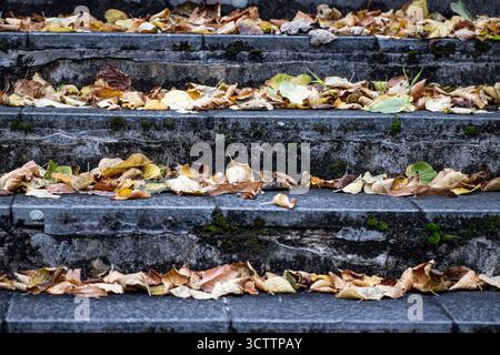Scala autunnale coperta da foglie cadute di giallo e arancio, sfondo foglia stagionale Foto Stock