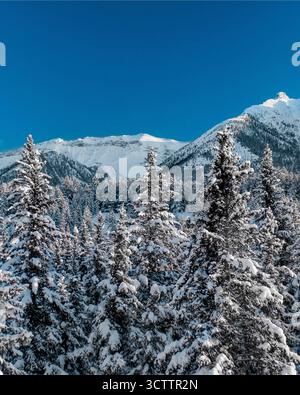 Vista aerea dei pini innevati che si avvicinano al cielo con maestose montagne innevate sullo sfondo, le loro vette baciate dal cielo azzurro, Banff, Alberta, Canada. Foto Stock