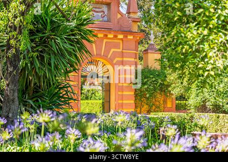 I giardini, i patii e gli spazi all'aperto del Real Alcazar de Sevilla o dell'Alcazar reale di Siviglia in Spagna, Europa. Foto Stock