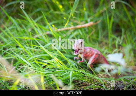 Dinosauro in miniatura, tyrannosaurus rex, in un ambiente naturale all'aperto con erba verde. Sfondo con spazio di copia. Foto Stock