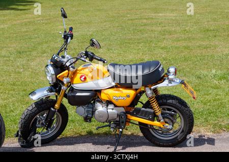 Moto gialla Honda Monkey parcheggiata su un'area erbosa illuminata dal sole con specchietto retrovisore visibile e sedile nero uk Foto Stock