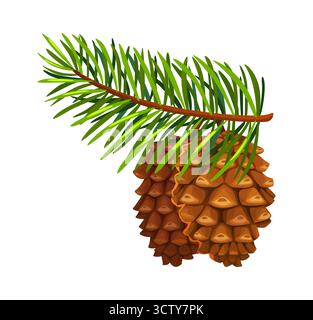 Cono di pino cartoni animati con ramo di abete rosso verde Illustrazione Vettoriale