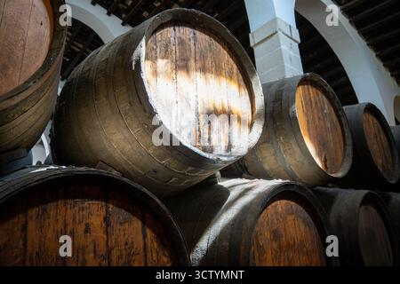 Vecchie botti di legno per la fermentazione del vino impilate in una cantina tradizionale con luce solare che illumina una di queste. Foto Stock