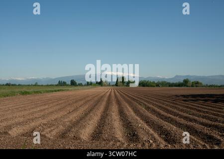 Paesaggio rurale con campi arati, alberi e montagne innevate sullo sfondo Foto Stock