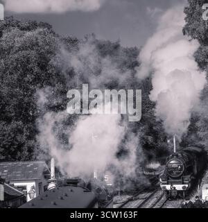 Le locomotive a vapore si incontrano alla stazione di Levisham Foto Stock