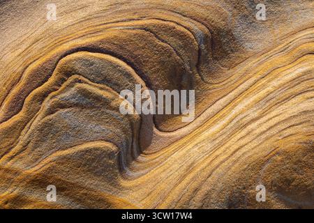 Linee di contorno in una sporgenza di pietra arenaria, Spittal Beach, Northumberland, Inghilterra. Inverno (primavera) 2025. Foto Stock