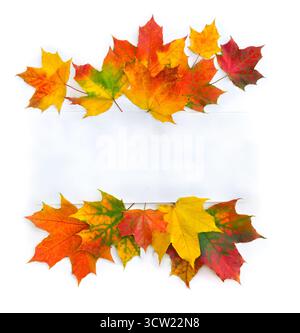 Foglie d'acero colorato autunnale con carta bianca nota con spazio per il testo su sfondo bianco. Vista dall'alto, disposizione piatta Foto Stock