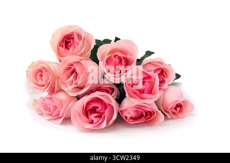 Fiori su sfondo bianco con spazio per il testo Foto Stock