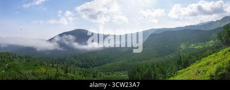 Alba di prima mattina sulle montagne nella nebbia e acqua di evaporazione sugli abeti e sugli uccelli in estate. Paesaggio estivo. I Carpazi Foto Stock