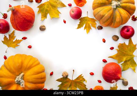 Zucca, ghiande, bacche rosse, mele rosse, pera gialla e foglie d'acero colorate autunnali su sfondo bianco. Vista dall'alto, disposizione piatta Foto Stock