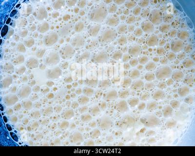 Il liquido bianco e giallastro bolle in primo piano formando una consistenza di cerchi interconnessi, indicando un processo biologico attivo come la fermenta Foto Stock