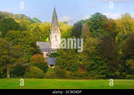 Monkton Wyld, Dorset, Regno Unito. 9 ottobre 2025. Meteo nel Regno Unito: La chiesa del villaggio è annidata tra alberi che brillano di colore autunnale dorato nel piccolo borgo rurale di Monkton Wyld in un glorioso pomeriggio di ottobre. Crediti: Celia McMahon/Alamy Live News Foto Stock